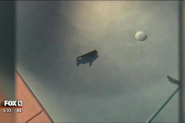 Strangely, the catfish from the sky to the pool is still alive Picture 3