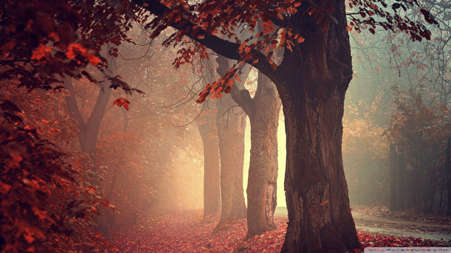 Summary of Autumn wallpapers for computers, laptops 2018 Picture 13