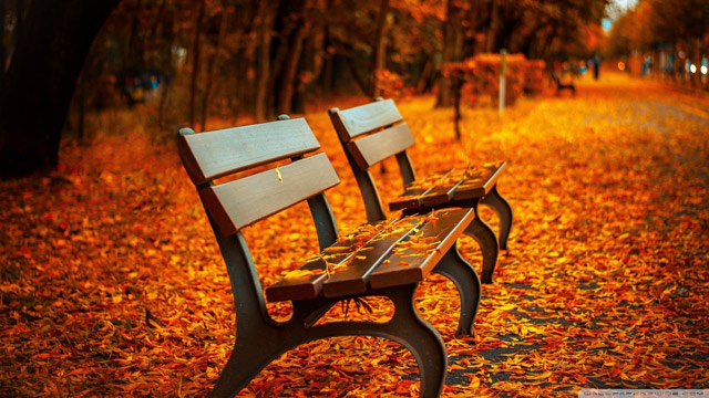 Summary of Autumn wallpapers for computers, laptops 2018 Picture 17