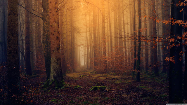 Summary of Autumn wallpapers for computers, laptops 2018 Picture 8