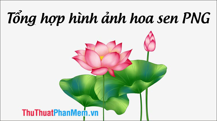 Summary of Lotus PNG images Picture 1