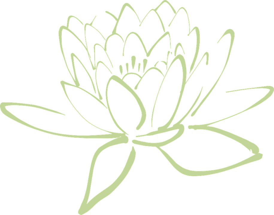 Summary of Lotus PNG images Picture 19