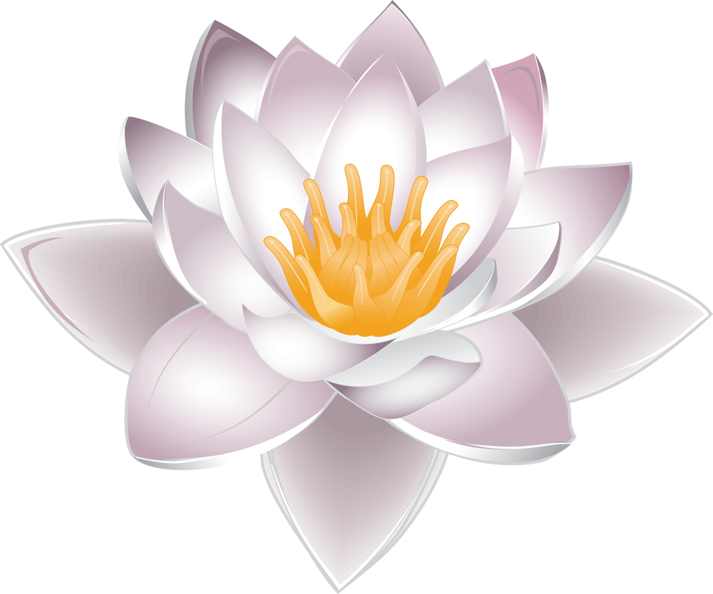 Summary of Lotus PNG images Picture 24