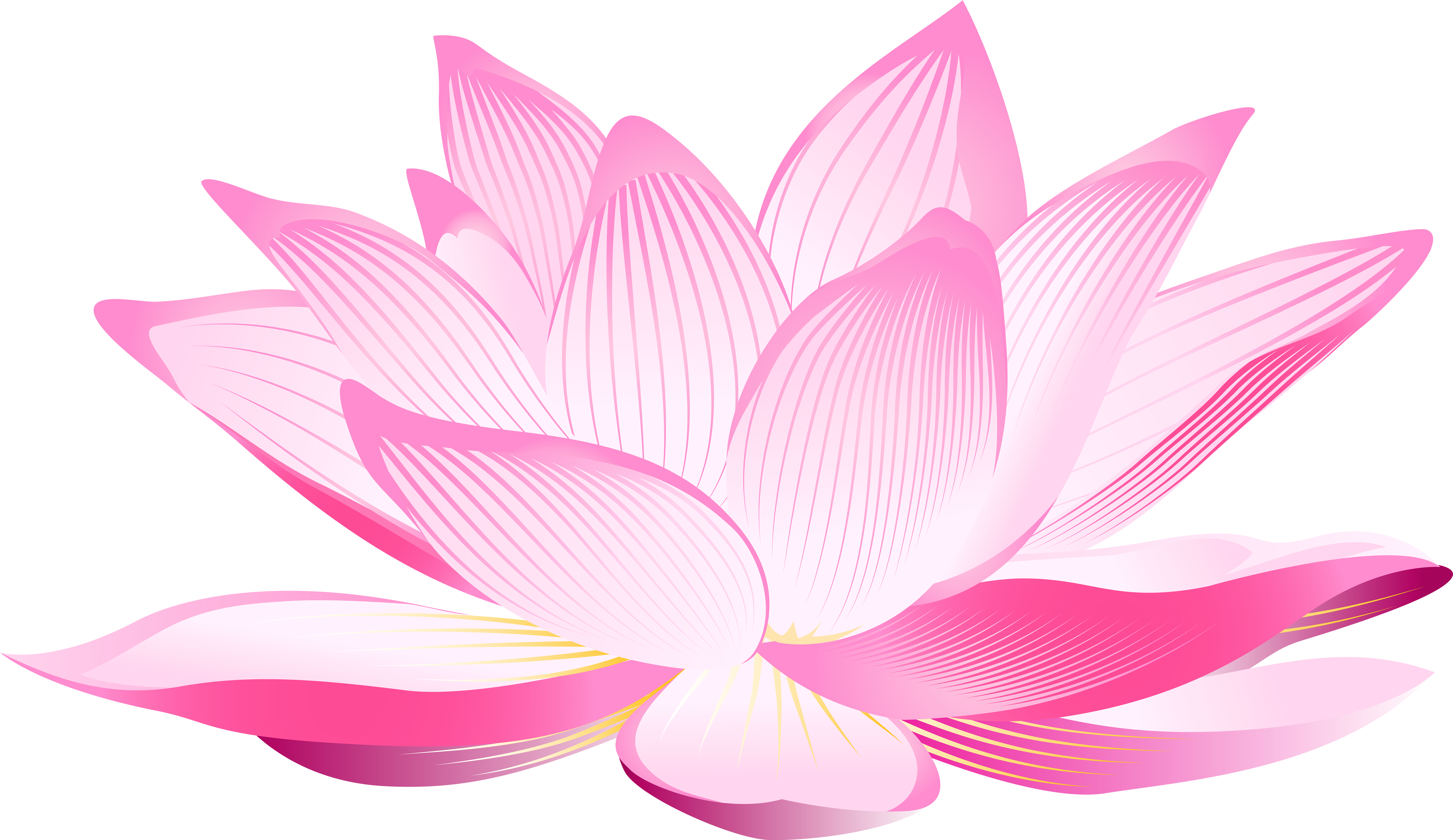 Summary of Lotus PNG images Picture 35
