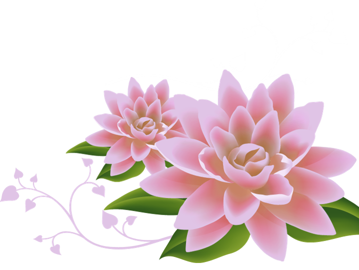 Summary of Lotus PNG images Picture 41