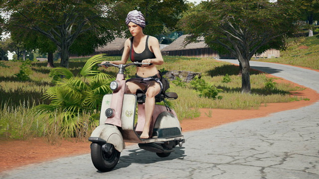 Summary of PUBG wallpapers for computers and phones Picture 21