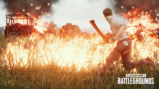 Summary of PUBG wallpapers for computers and phones Picture 26