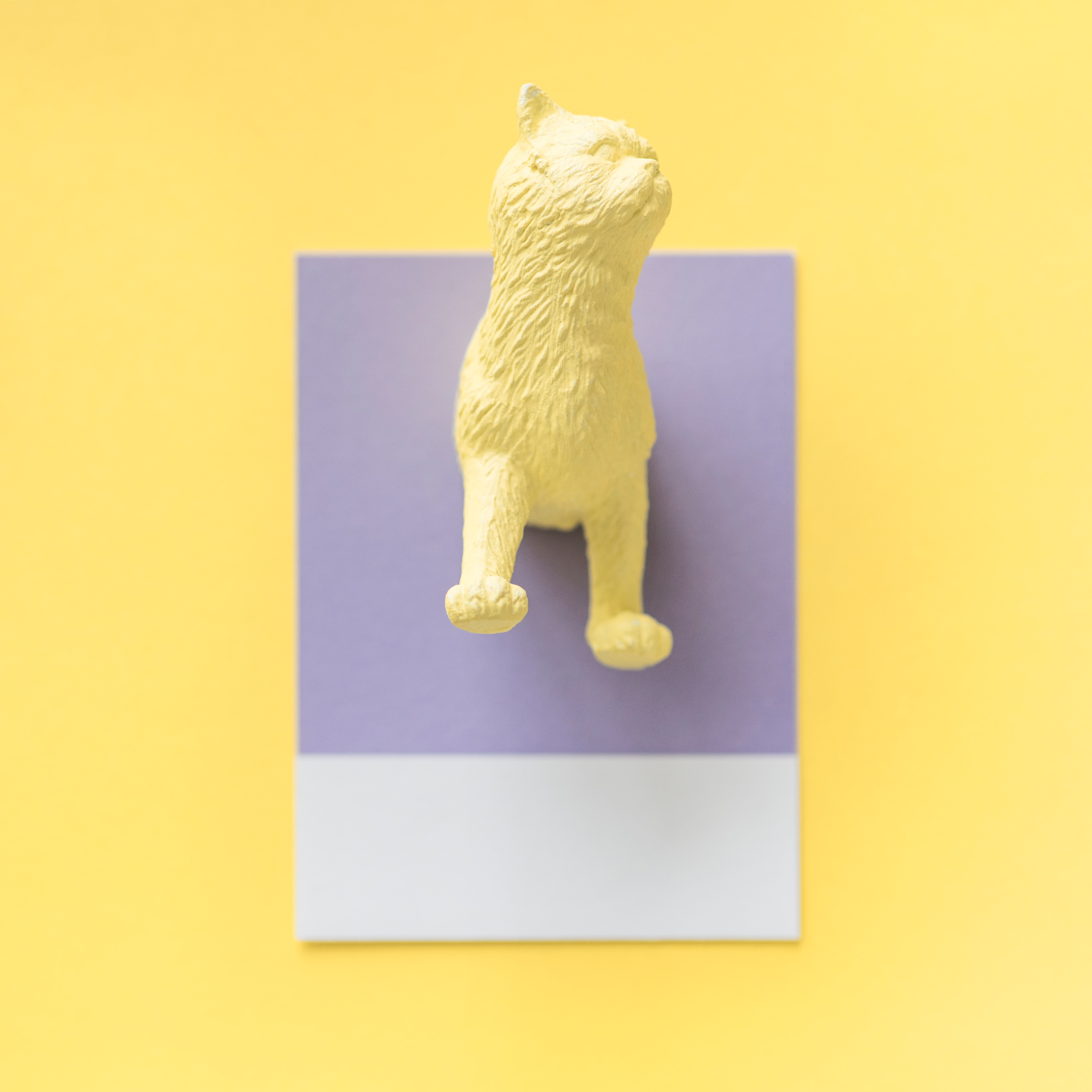 Summary of the best advertising background Picture 22