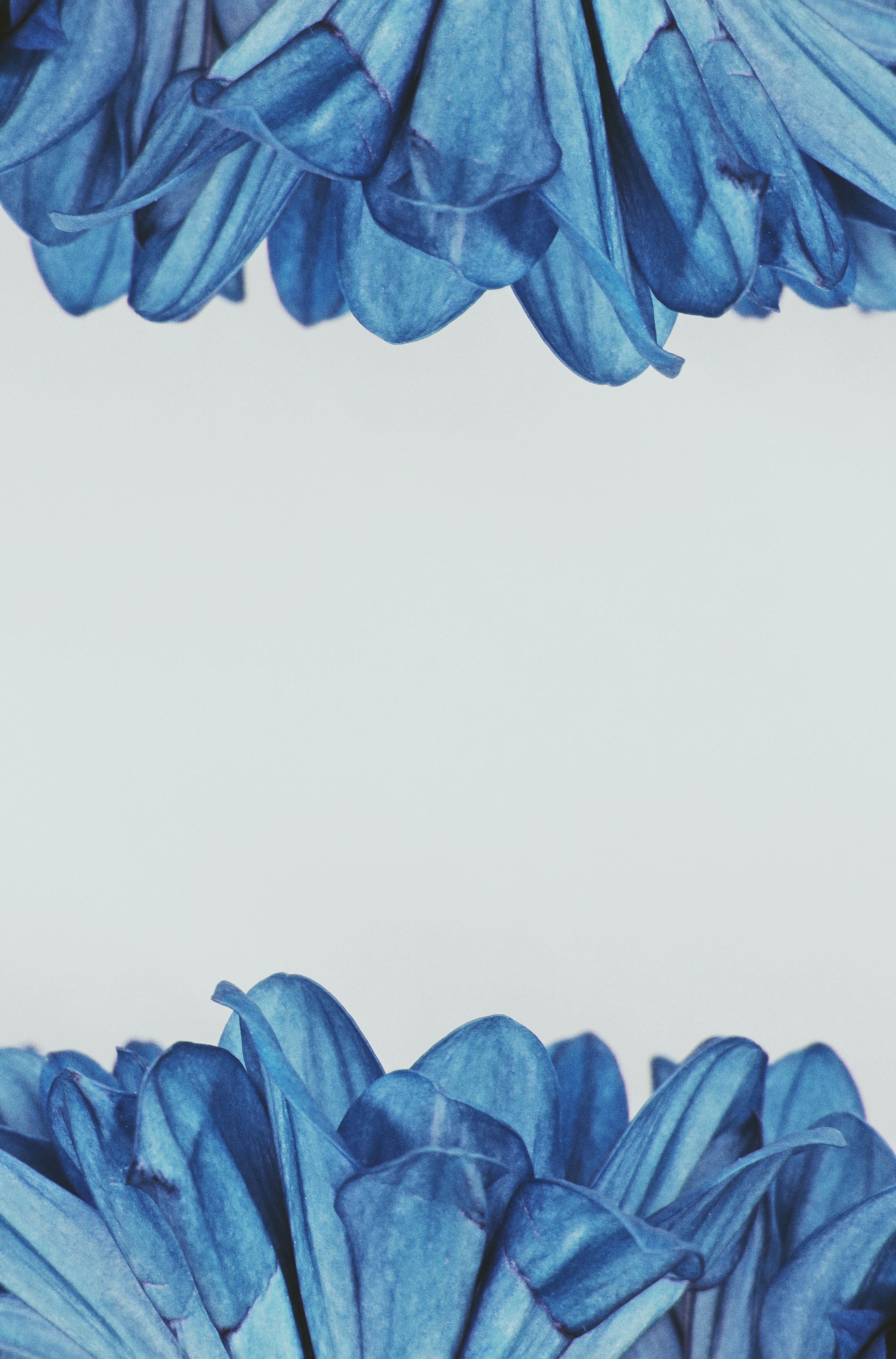 Summary of the best advertising background Picture 46