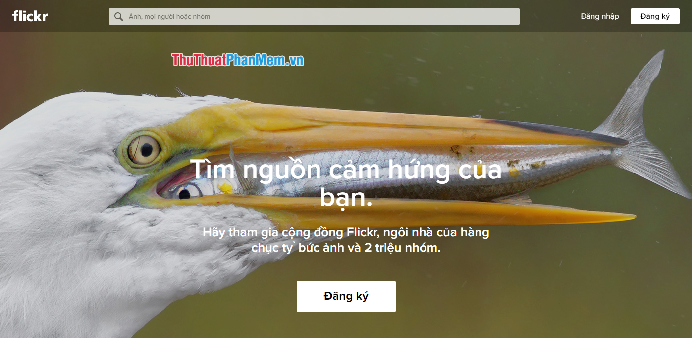 Summary of the best free Upload Photos, not deleted Picture 8