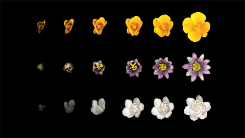 Summary of the hottest tech news of April 3, 2015 Picture 2