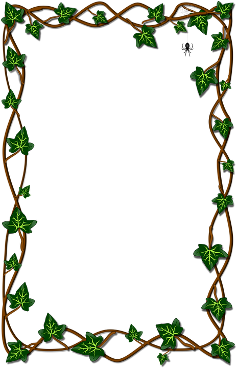 Summary of the most beautiful decorative borders Picture 26