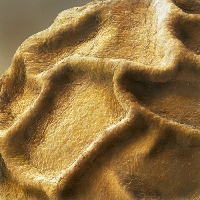 Super beautiful photos of everyday food are viewed through a microscope Picture 10