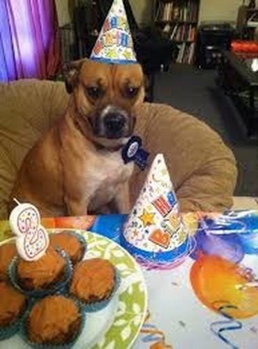 Super happy birthday images you've ever seen Picture 19