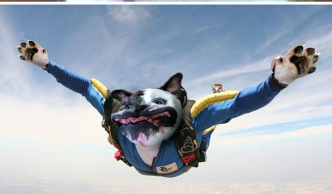 Super photos will make you admire the ability of humans to Photoshop Picture 18