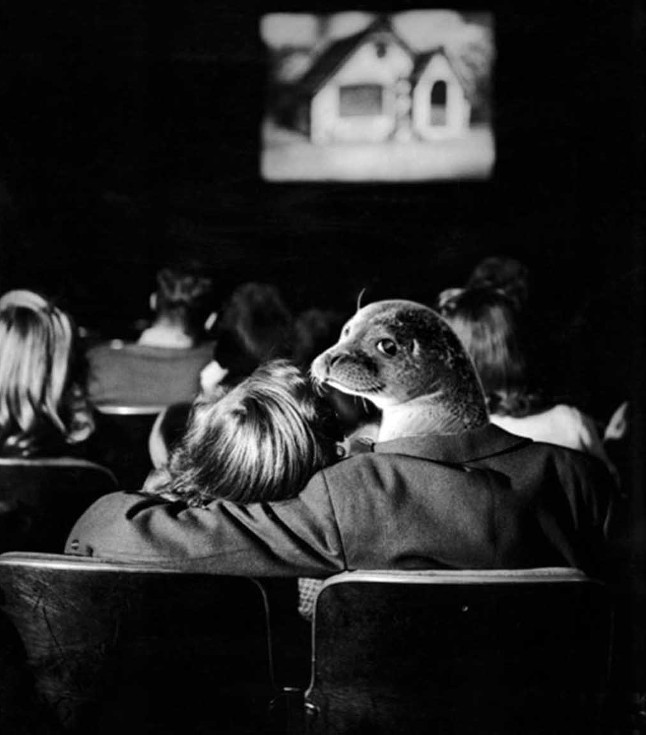 Super photos will make you admire the ability of humans to Photoshop Picture 20