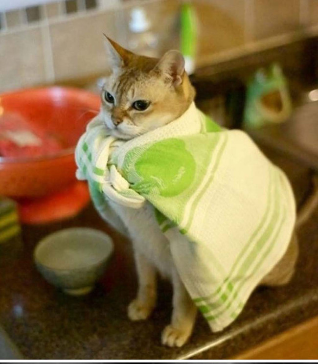 Super photos will make you admire the ability of humans to Photoshop Picture 21