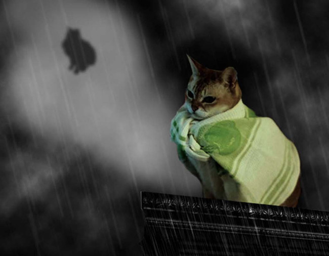 Super photos will make you admire the ability of humans to Photoshop Picture 22