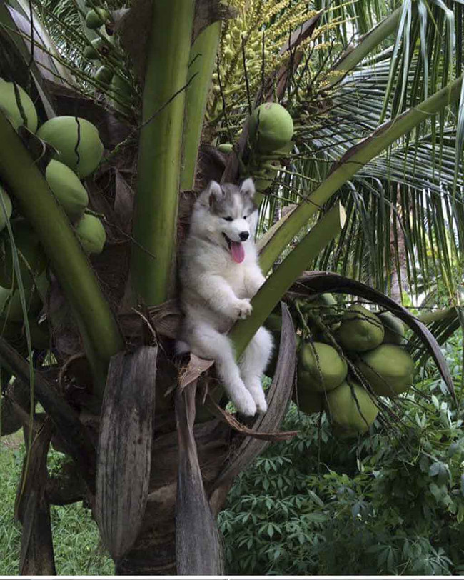 Super photos will make you admire the ability of humans to Photoshop Picture 27