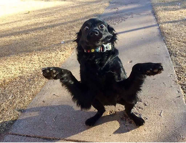 Super photos will make you admire the ability of humans to Photoshop Picture 29