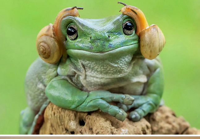 Super photos will make you admire the ability of humans to Photoshop Picture 31