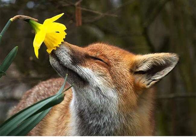 Super photos will make you admire the ability of humans to Photoshop Picture 9