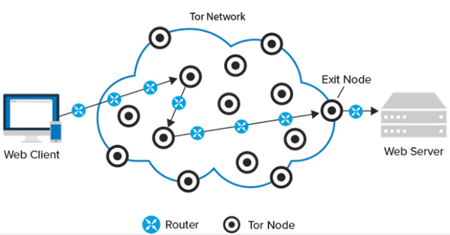 Super secure SIM card, only connecting data via Tor anonymity network helps protect information for users Picture 1