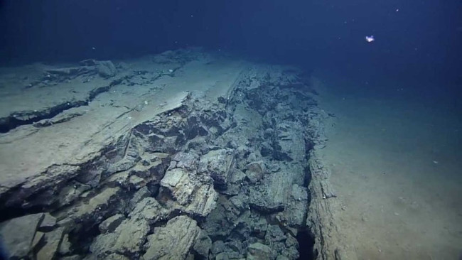 Surprise with the facts about the ocean Picture 1
