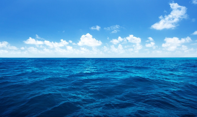 Surprise with the facts about the ocean Picture 2