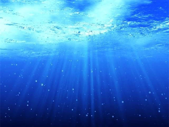 Surprise with the facts about the ocean Picture 5