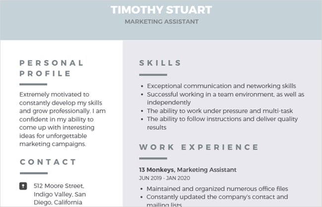 Synthesis of 12 professional and unique CV application forms for you Picture 1