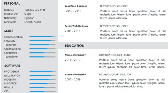 Synthesis of 12 professional and unique CV application forms for you Picture 10