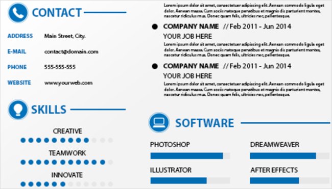 Synthesis of 12 professional and unique CV application forms for you Picture 12