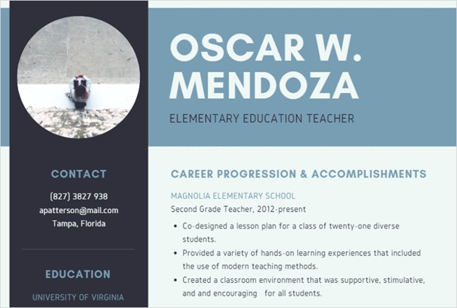 Synthesis of 12 professional and unique CV application forms for you Picture 2