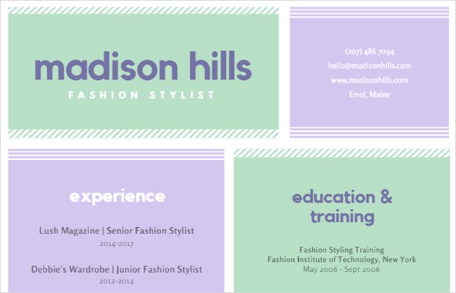 Synthesis of 12 professional and unique CV application forms for you Picture 4