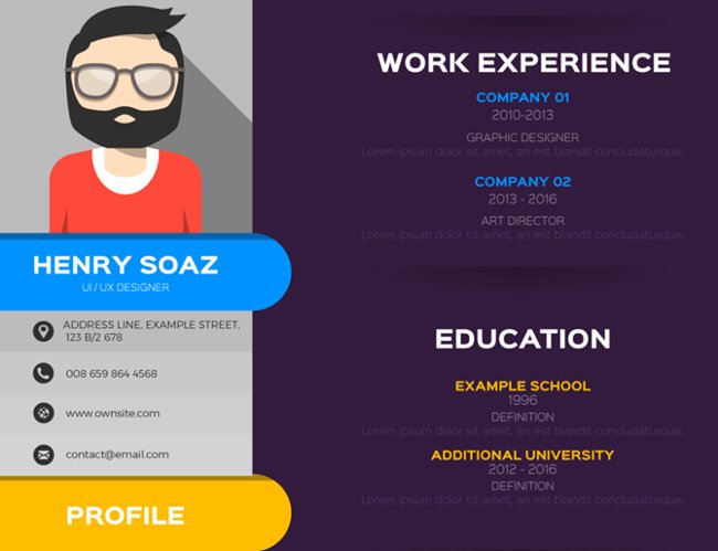 Synthesis of 12 professional and unique CV application forms for you Picture 9