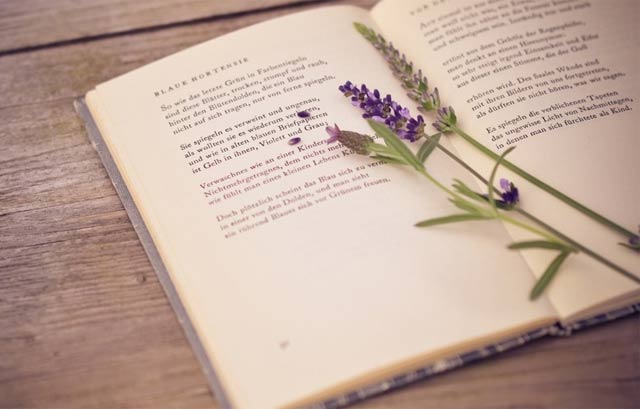 Synthesis of the best book wallpapers for computers Picture 18