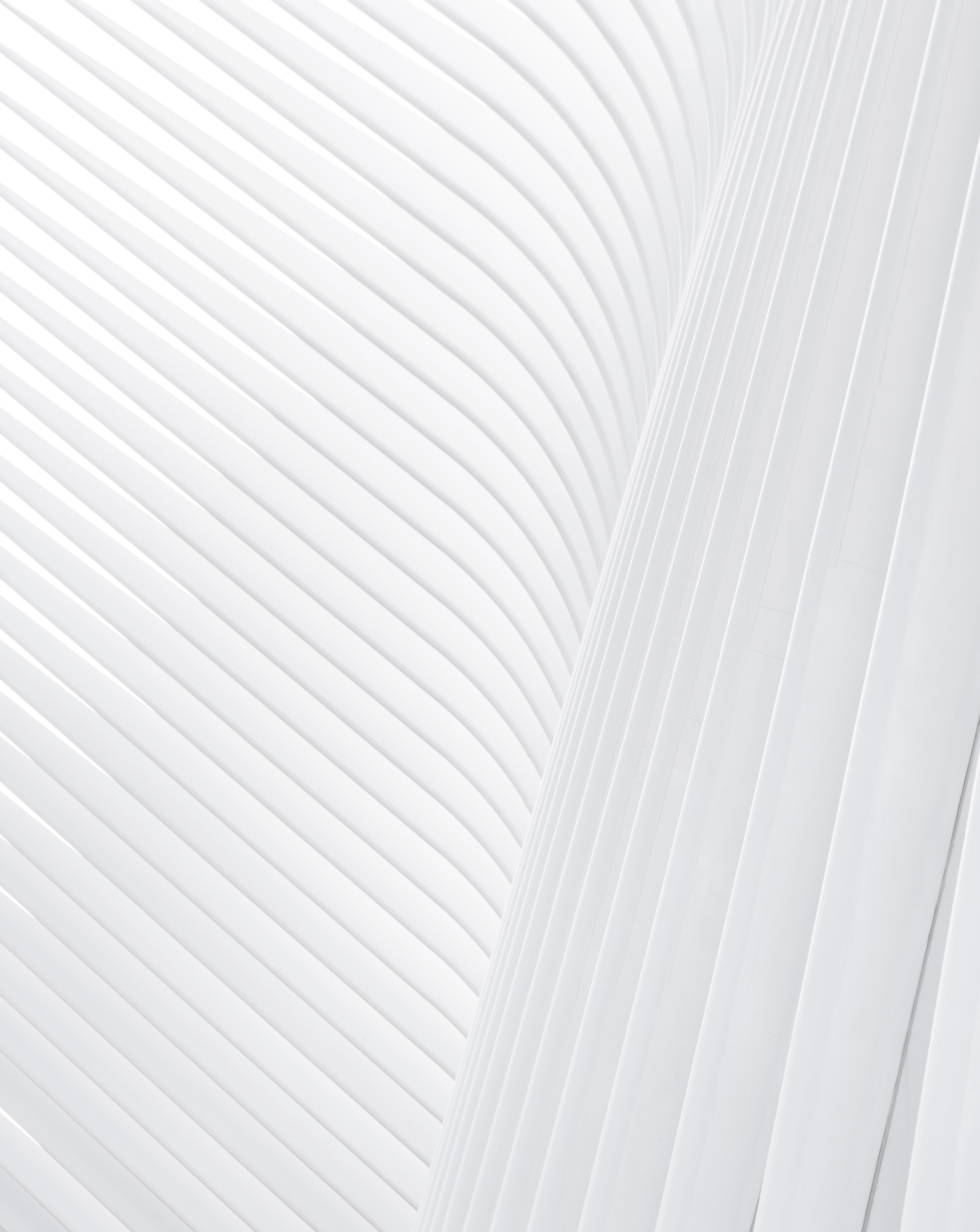 Synthesis of the most beautiful white Background Picture 29