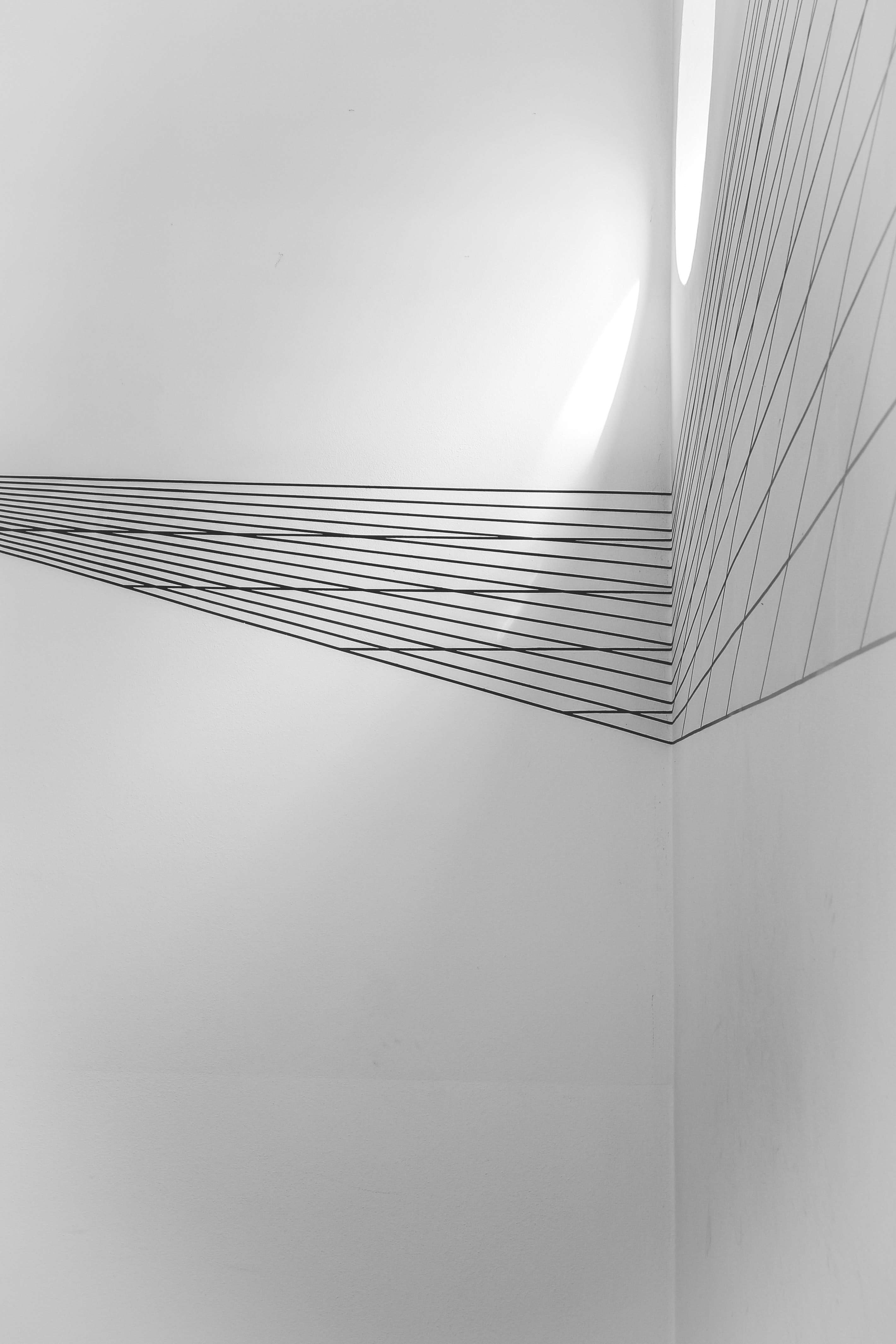 Synthesis of the most beautiful white Background Picture 6