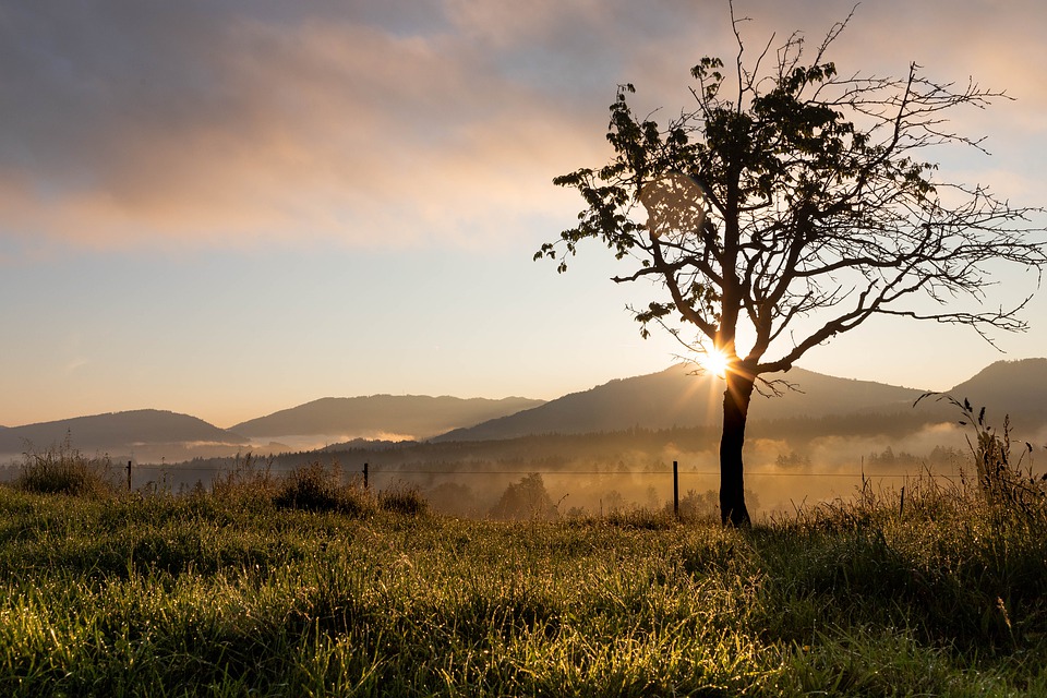 Synthetic beautiful natural Background Picture 30