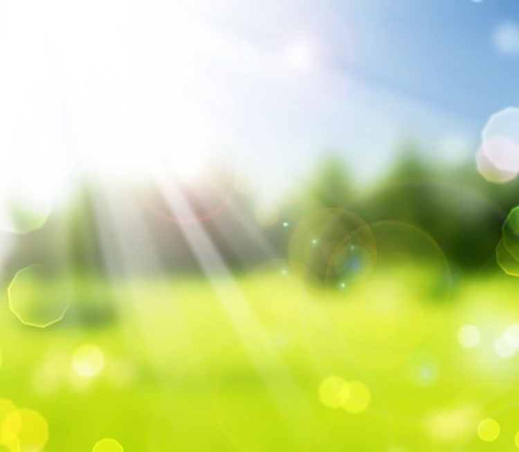 Synthetic beautiful natural Background Picture 46