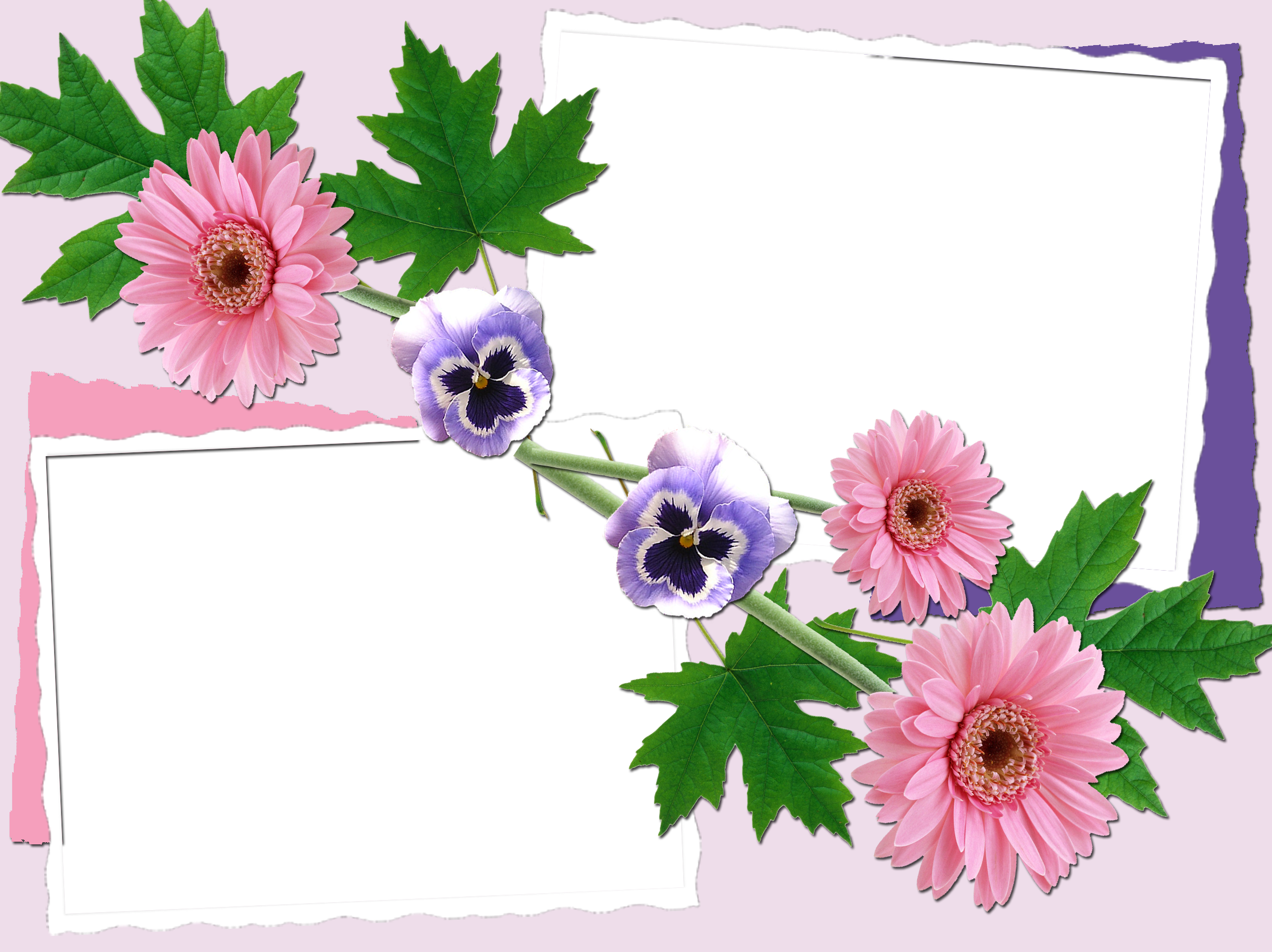 Synthetic beautiful picture frames for Photoshop Picture 14