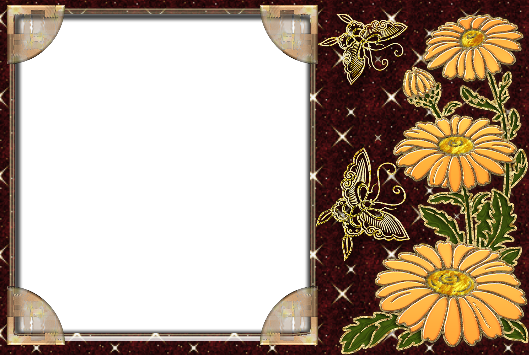 Synthetic beautiful picture frames for Photoshop Picture 31