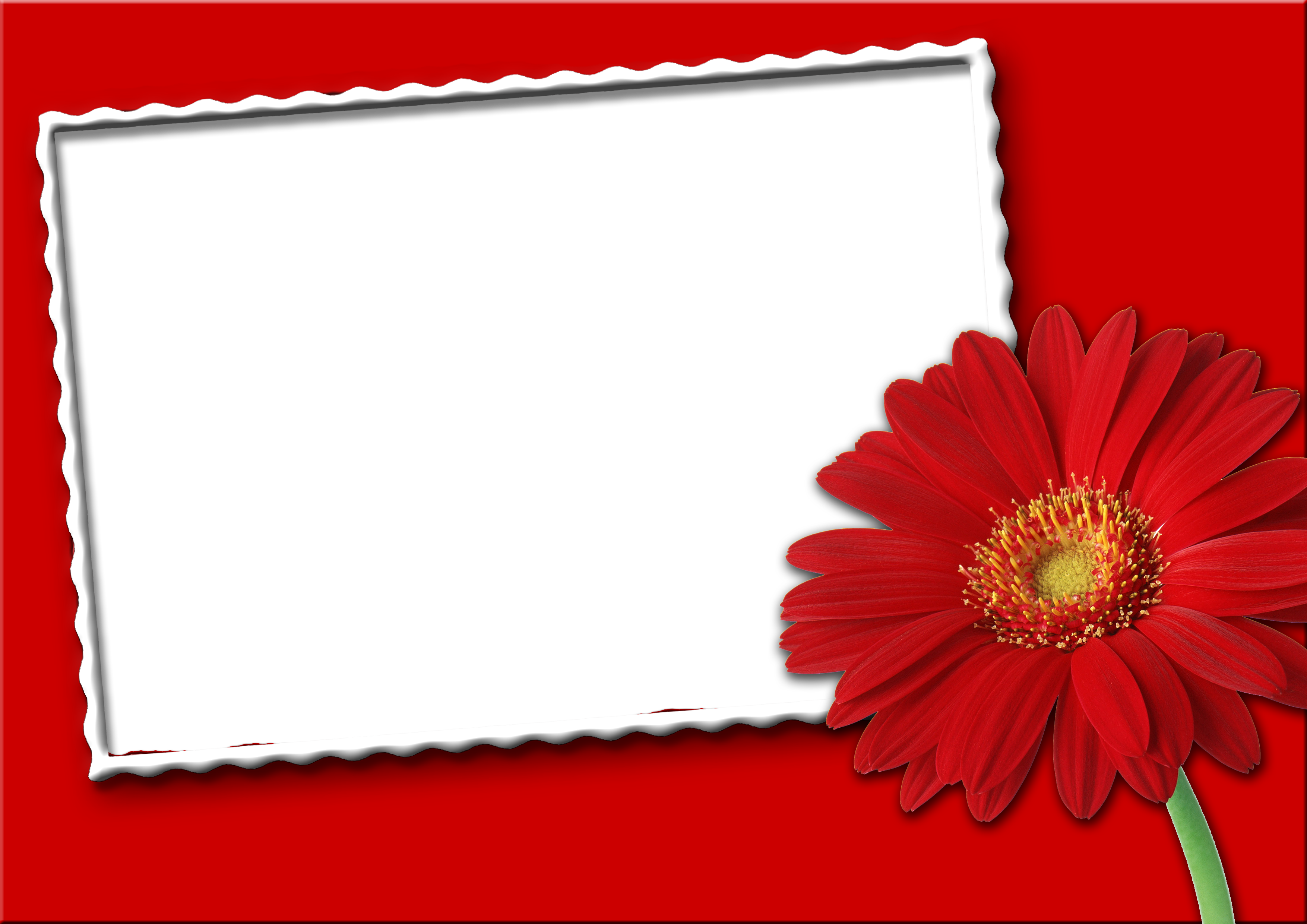 Synthetic beautiful picture frames for Photoshop Picture 33