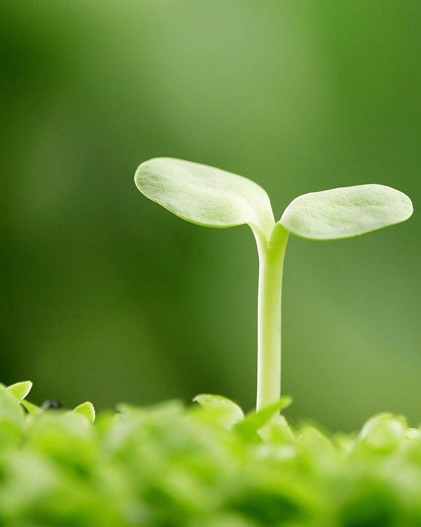 Synthetic wallpaper for the most beautiful Word Picture 10