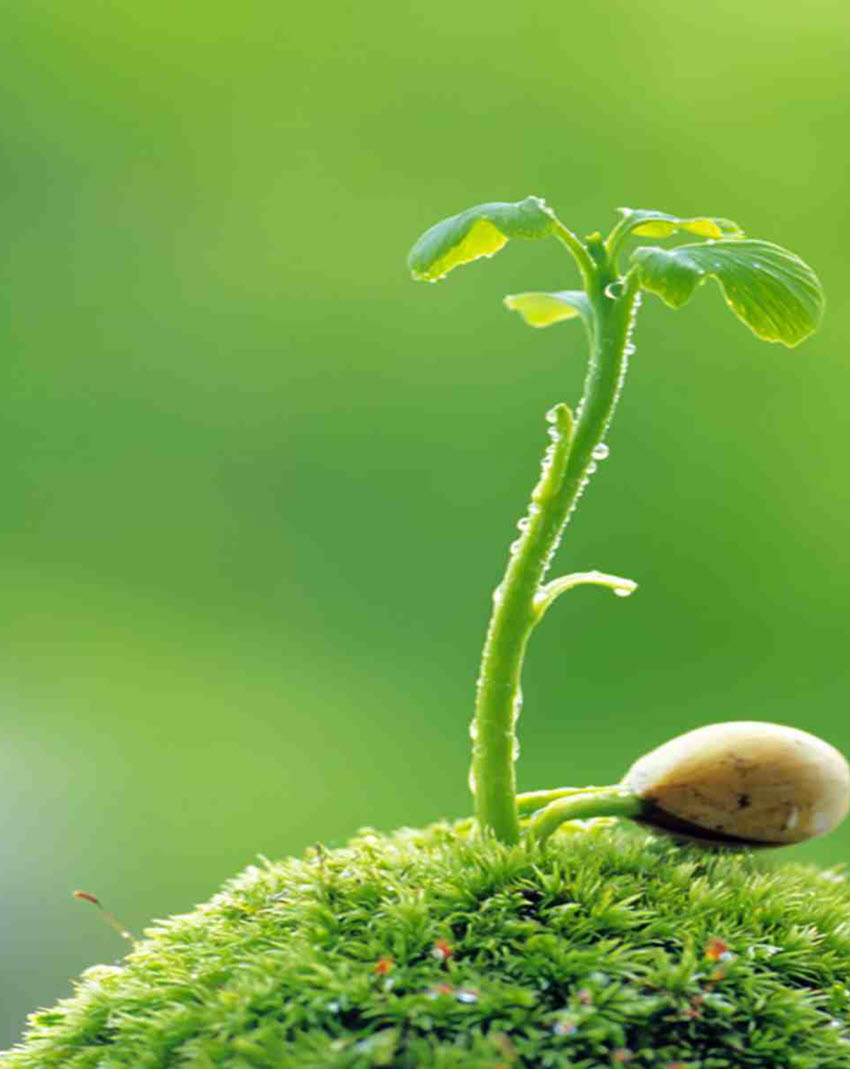 Synthetic wallpaper for the most beautiful Word Picture 29