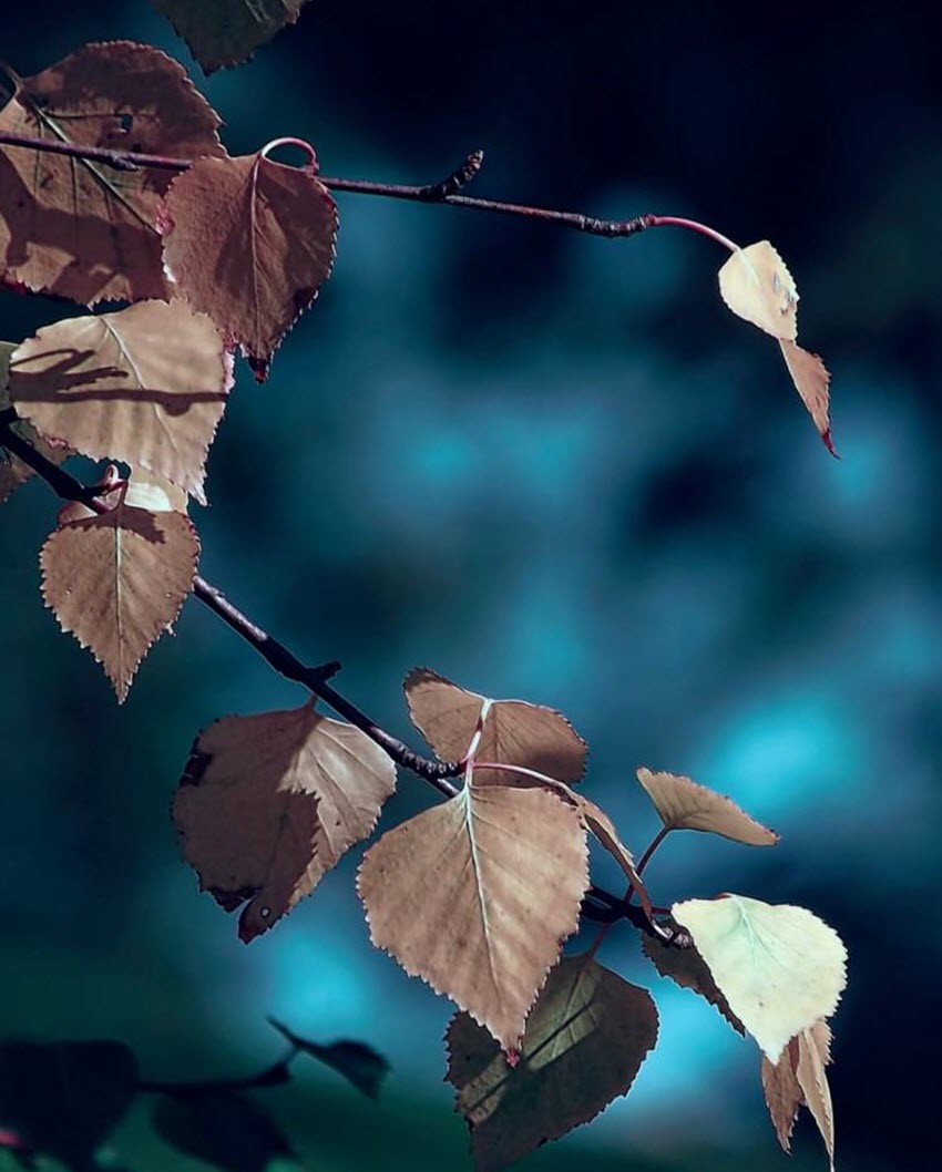 Synthetic wallpaper for the most beautiful Word Picture 9