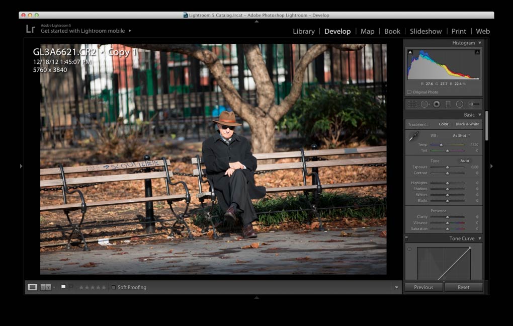 Take a picture of the Cinematic Photography style Picture 2