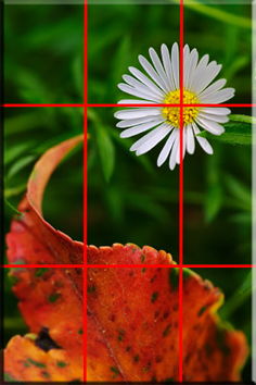 Take photos on a smartphone more artistic at a rate of 1/3 Picture 2