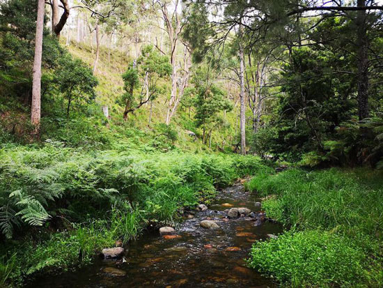 Take the Google Maps suggestion to save 15 minutes, this guy has a trip to remember life Picture 10